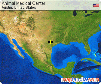 Animal Medical Center satellite map