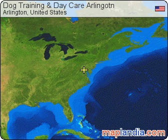 Dog Training & Day Care Arlingotn  satellite map