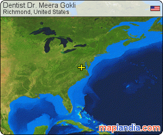 Dentist Dr. Meera Gokli satellite map