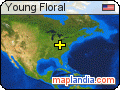 Young Floral satellite map