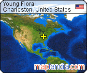 Young Floral satellite map